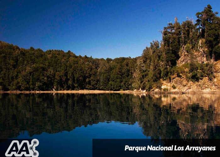 Parque Nacional Los Arrayanes: reserva natural y única de la Patagonia