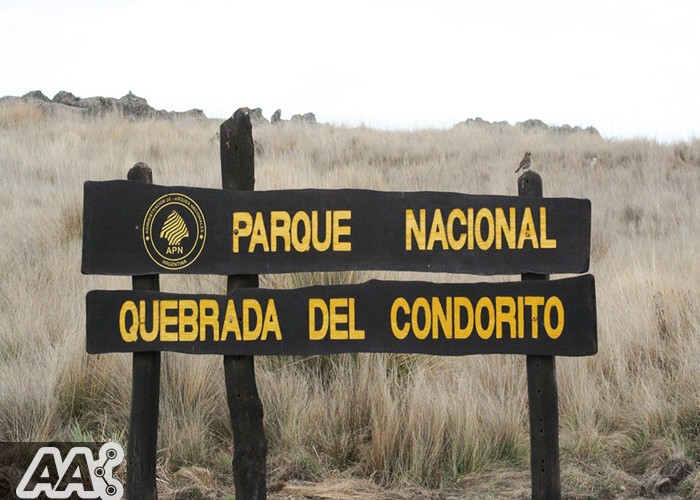 Refugio natural en las Altas Cumbres: Parque Nacional Quebrada del Condorito