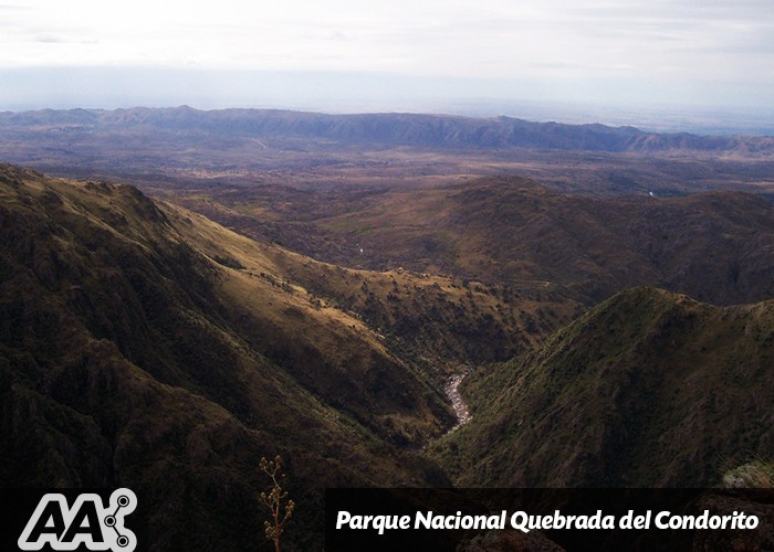 Refugio Natural En Las Altas Cumbres Parque Nacional Quebrada Del Condorito Blog Alquiler