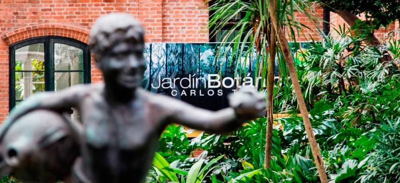Una alternativa en medio de la urbe: Jardín Botánico