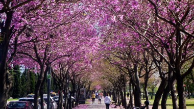 ¿Qué hacer en Rosario esta primavera?