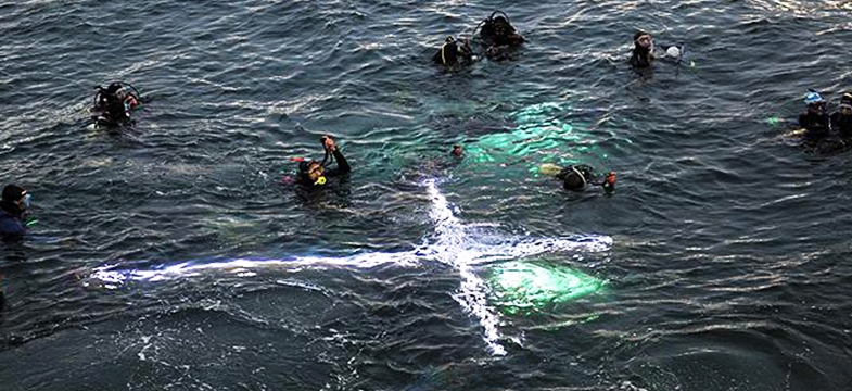 ¡Imperdible! El Vía Crucis submarino de Puerto Madryn