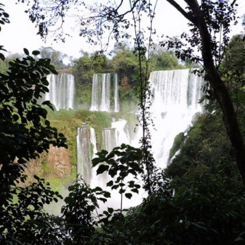 Ya podes comprar el ticket on-line para el Parque Iguazú y el Nahuel Huapi