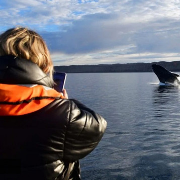 Volá a Puerto Madryn y disfrutá la temporada de ballenas