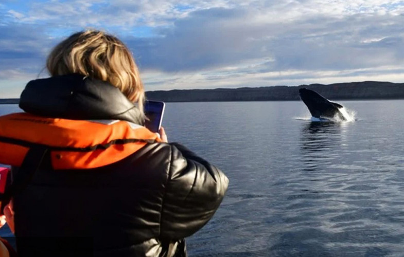 Volá a Puerto Madryn y disfrutá la temporada de ballenas